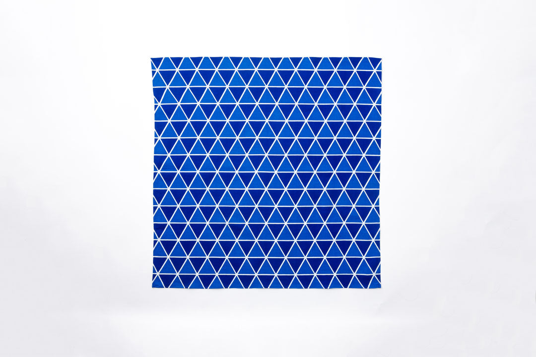 Nagakan 2-Day In-depth Technical Course